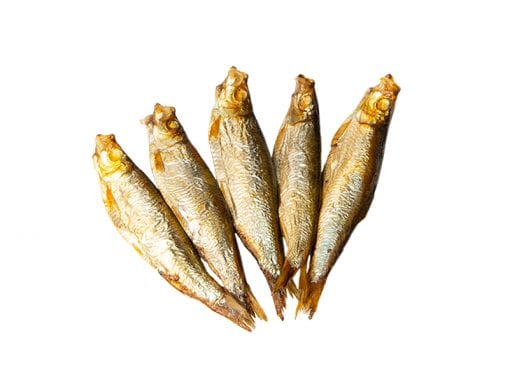 Sprotten