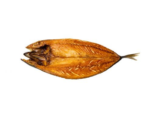 Fleckmakrele