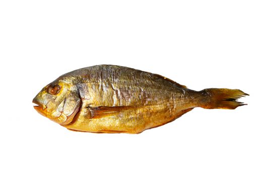 Dorade