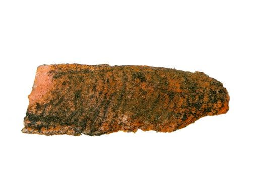 TK Graved Lachs vorgeschnitten