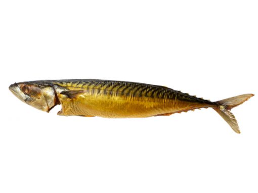 Makrele mit Kopf
